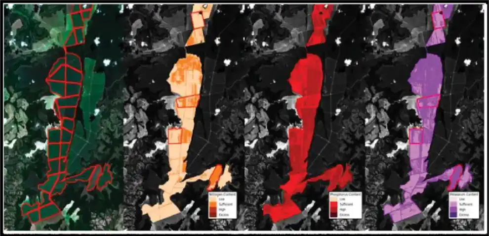 Geospatial nutrient analysis visualization