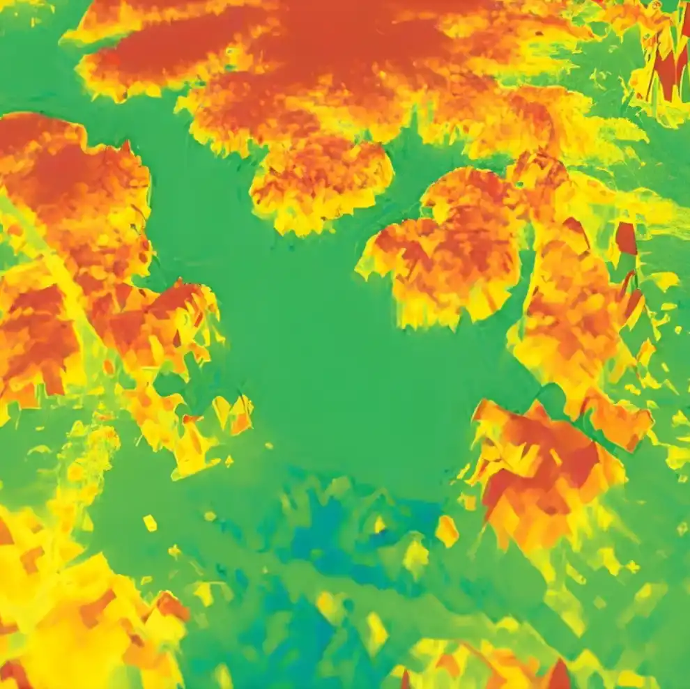 Terrain survey geospatial visualization